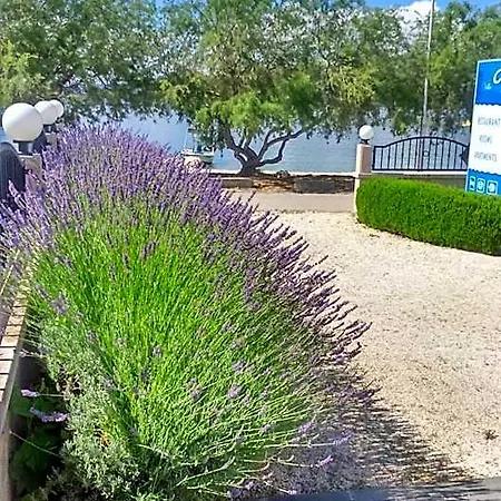 Mediterana 4* סגט ווראנייצה