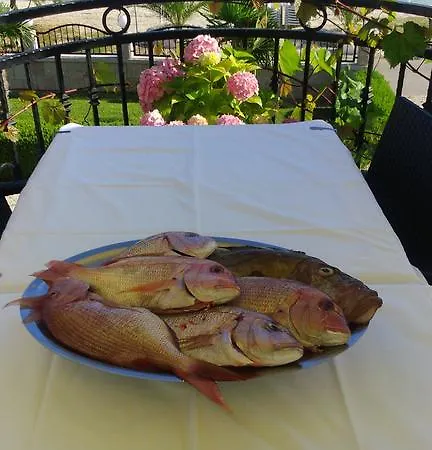 מלון Mediterana