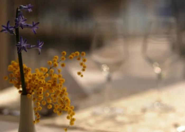 Mediterana Seget Vranjica